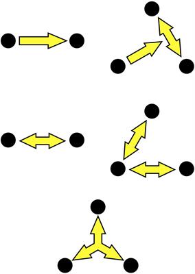 Socializing Sensorimotor Contingencies